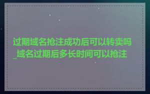 过期域名抢注成功后可以转卖吗_域名过期后多长时间可以抢注