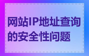 网站IP地址查询的安全性问题