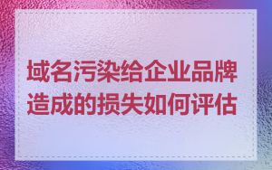 域名污染给企业品牌造成的损失如何评估