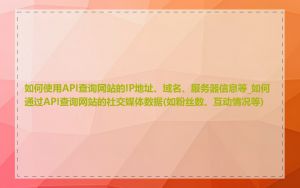 如何使用API查询网站的IP地址、域名、服务器信息等_如何通过API查询网站的社交媒体数据(如粉丝数、互动情况等)