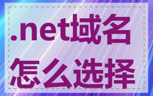 .net域名怎么选择