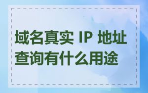 域名真实 IP 地址查询有什么用途
