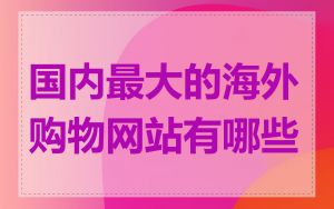 国内最大的海外购物网站有哪些
