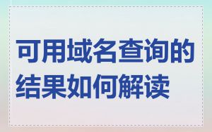 可用域名查询的结果如何解读