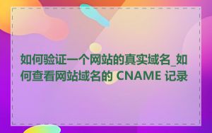 如何验证一个网站的真实域名_如何查看网站域名的 CNAME 记录