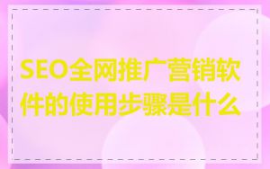 SEO全网推广营销软件的使用步骤是什么