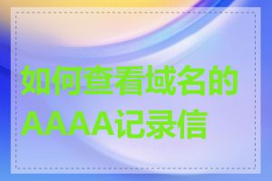 如何查看域名的AAAA记录信息