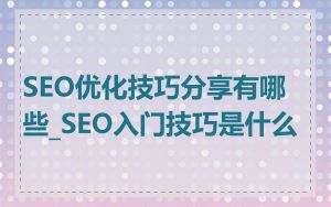 SEO优化技巧分享有哪些_SEO入门技巧是什么