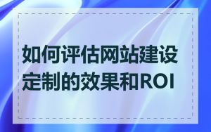 如何评估网站建设定制的效果和ROI