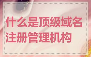 什么是顶级域名注册管理机构