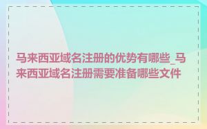 马来西亚域名注册的优势有哪些_马来西亚域名注册需要准备哪些文件
