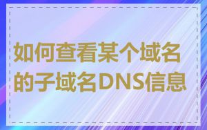 如何查看某个域名的子域名DNS信息