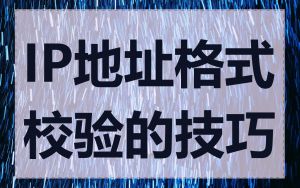 IP地址格式校验的技巧