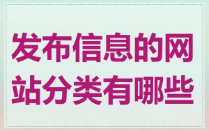 发布信息的网站分类有哪些