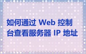 如何通过 Web 控制台查看服务器 IP 地址