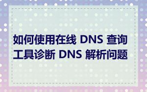 如何使用在线 DNS 查询工具诊断 DNS 解析问题