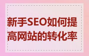 新手SEO如何提高网站的转化率