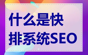 什么是快排系统SEO