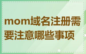 mom域名注册需要注意哪些事项