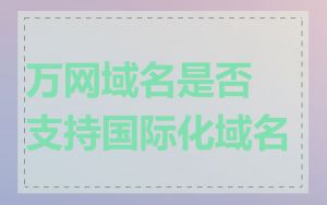 万网域名是否支持国际化域名