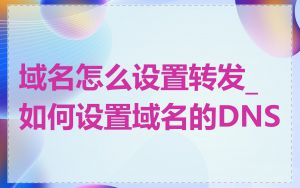 域名怎么设置转发_如何设置域名的DNS