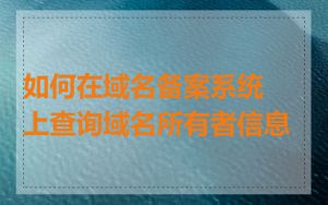 如何在域名备案系统上查询域名所有者信息