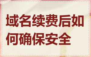 域名续费后如何确保安全