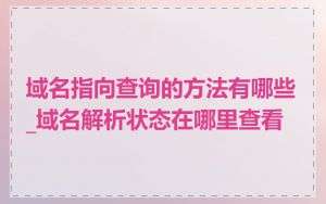 域名指向查询的方法有哪些_域名解析状态在哪里查看