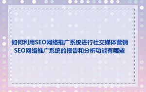 如何利用SEO网络推广系统进行社交媒体营销_SEO网络推广系统的报告和分析功能有哪些