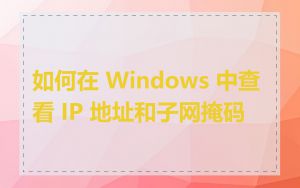 如何在 Windows 中查看 IP 地址和子网掩码