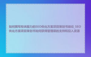 如何撰写有说服力的SEO优化方案项目策划书结论_SEO优化方案项目策划书如何获得管理层的支持和投入资源