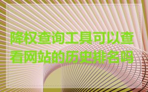 降权查询工具可以查看网站的历史排名吗