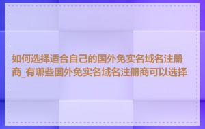如何选择适合自己的国外免实名域名注册商_有哪些国外免实名域名注册商可以选择