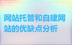 网站托管和自建网站的优缺点分析