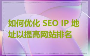 如何优化 SEO IP 地址以提高网站排名