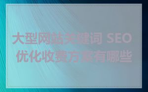大型网站关键词 SEO 优化收费方案有哪些