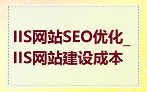 IIS网站SEO优化_IIS网站建设成本