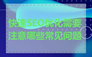 快速SEO优化需要注意哪些常见问题