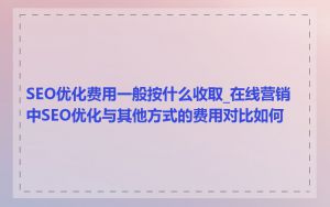 SEO优化费用一般按什么收取_在线营销中SEO优化与其他方式的费用对比如何