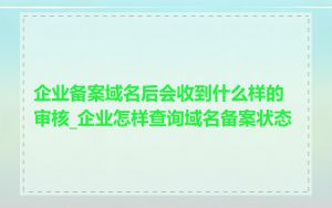 企业备案域名后会收到什么样的审核_企业怎样查询域名备案状态