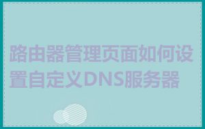路由器管理页面如何设置自定义DNS服务器