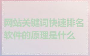 网站关键词快速排名软件的原理是什么