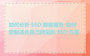 如何分析 SEO 数据报告_如何定制适合自己网站的 SEO 方案