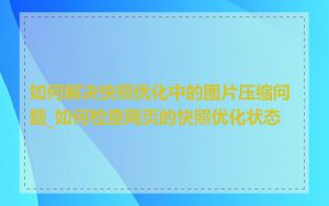 如何解决快照优化中的图片压缩问题_如何检查网页的快照优化状态