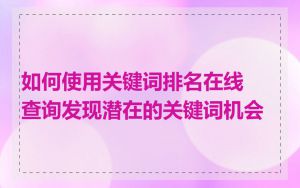 如何使用关键词排名在线查询发现潜在的关键词机会