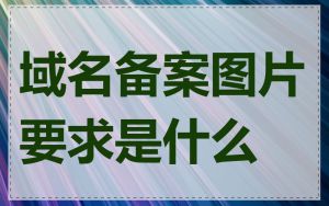 域名备案图片要求是什么
