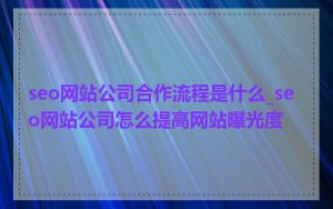 seo网站公司合作流程是什么_seo网站公司怎么提高网站曝光度