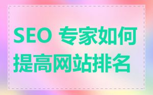 SEO 专家如何提高网站排名