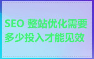 SEO 整站优化需要多少投入才能见效