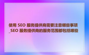使用 SEO 服务提供商需要注意哪些事项_SEO 服务提供商的服务范围都包括哪些